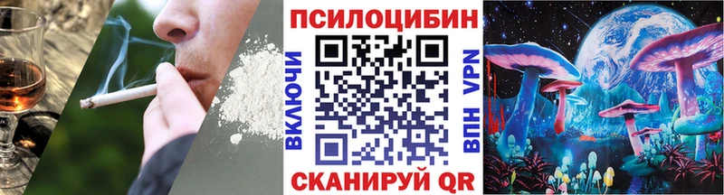 Купить закладки  Людиново  Псилоцибиновые грибы Cubensis 